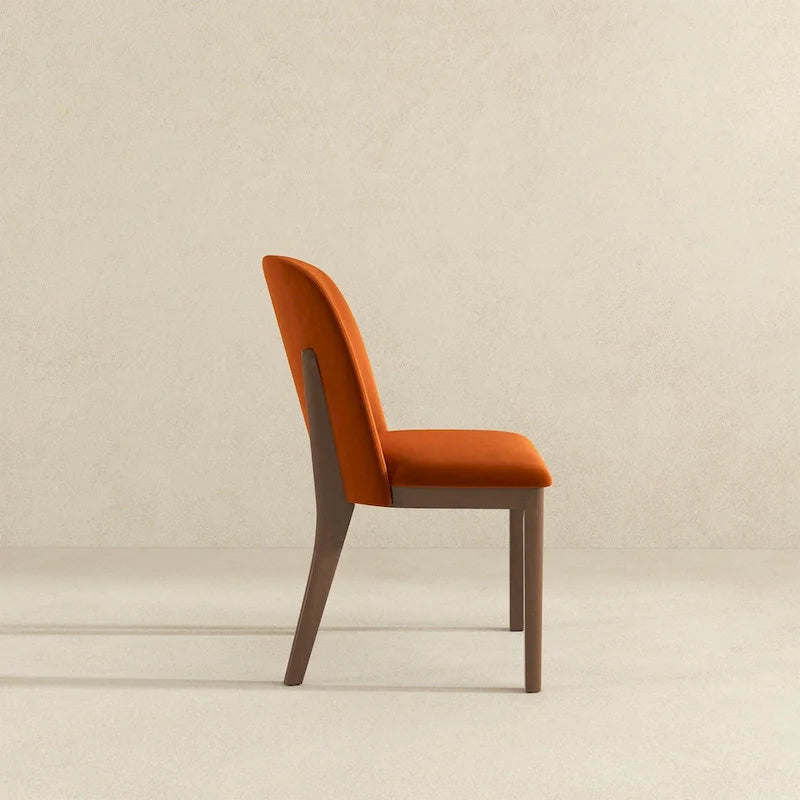 Dining Chair (Set Of 2)