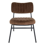 Set of 2 Velvet Accent Chairs with Velvet Upholstery & Sturdy Metal Frame for Home Office Lounge Living Room